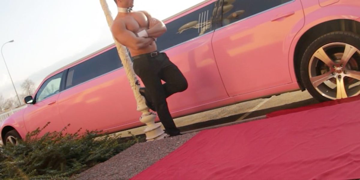 Stripteaseur Vaud limousine